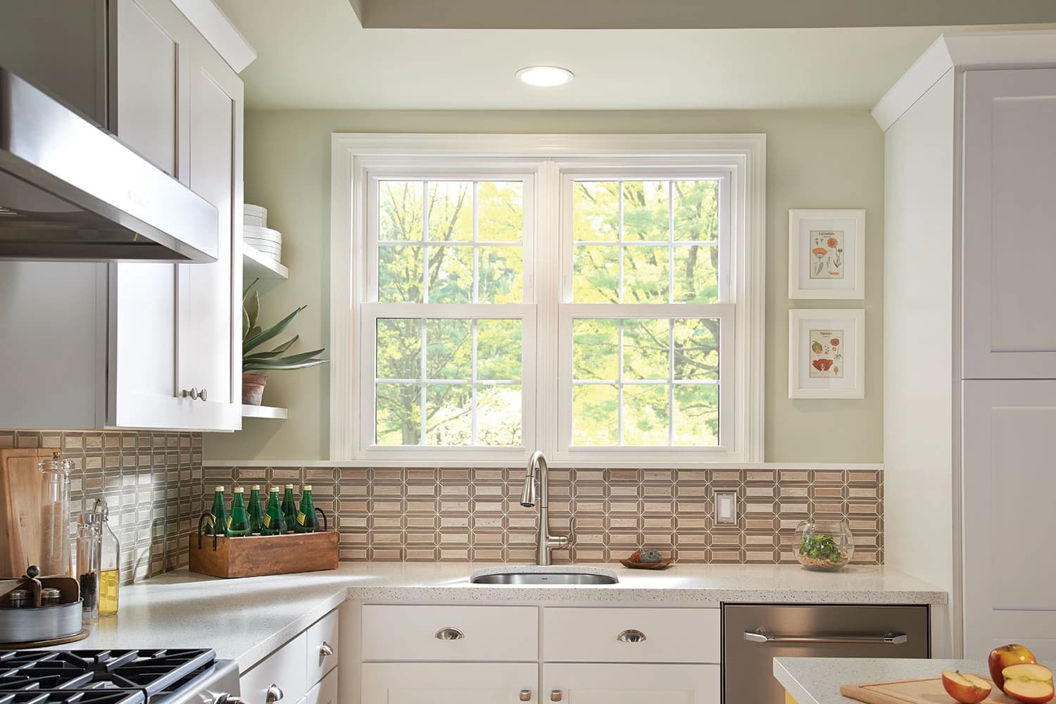 Double Hung Windows