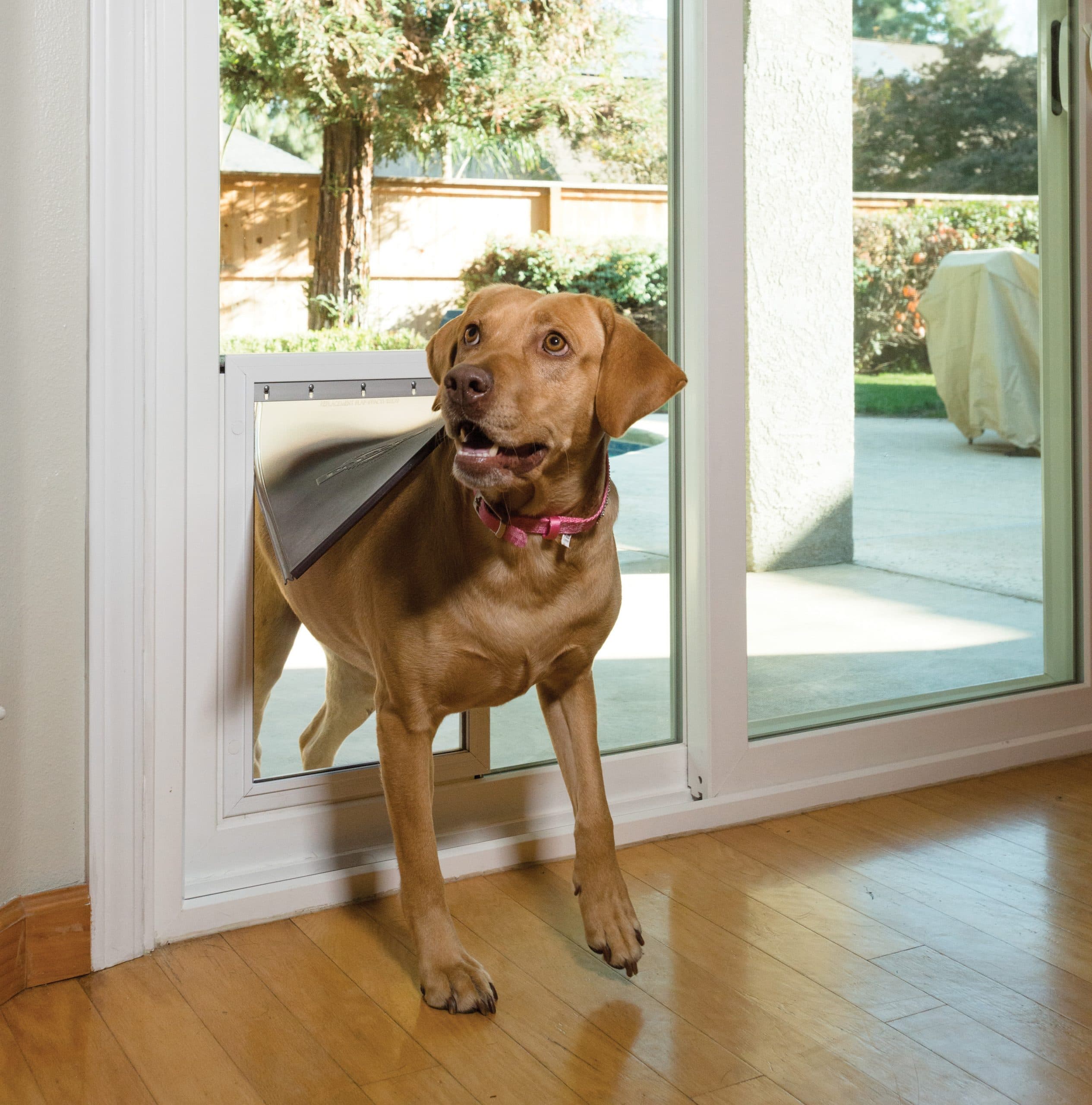 Dog Door Options installed on a home